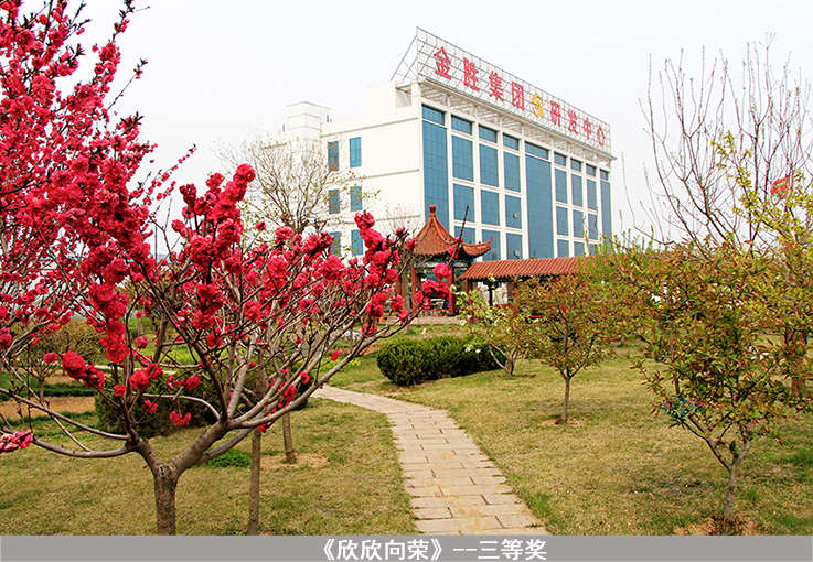 中国·3044永利集团(集团)有限公司-官方网站