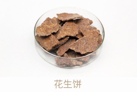 中国·3044永利集团(集团)有限公司-官方网站